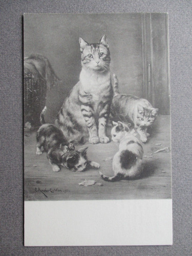 Beautiful cat postcard - cat, artist