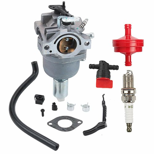 Carburetor set for 2010 troy - for,