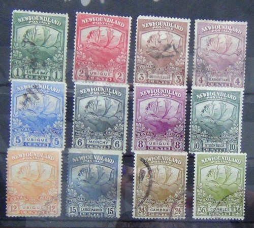Newfoundland 1919 - newfoundland,
