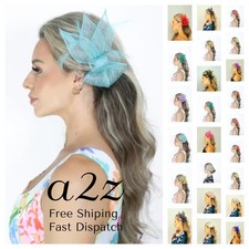 Women Fascinator Hair Clip