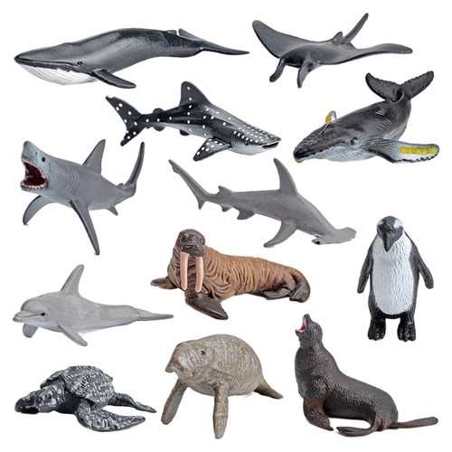 Pieces whale shark - pieces,