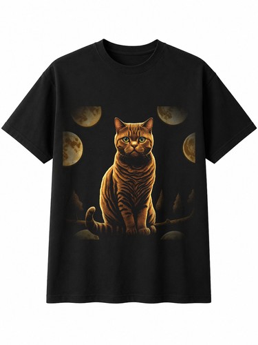 British shorthair detailed cat - shorthair,