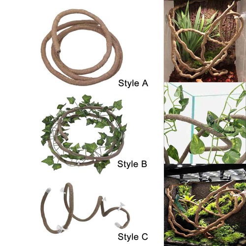 Exotic reptile vines for - exotic,