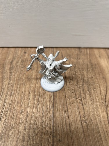 Privateer press warmachine - privateer,