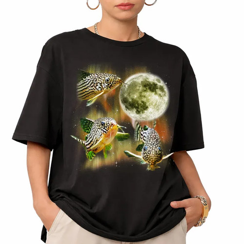 Corydoras catfish moon - catfish,