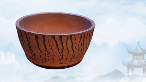 Rustic crackle bonsai - rustic, cactus