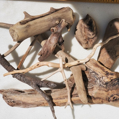 Driftwood natural wood unique - natural,