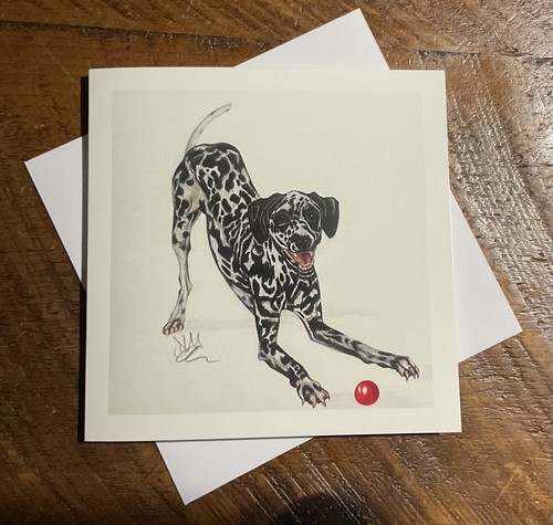 Dalmatian dog breed fine - dog,