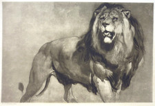 Large, antique photogravure