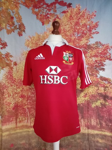 British lions rugby union 2013 - lions,