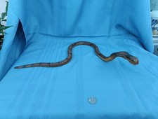 Vintage Wooden Articulated