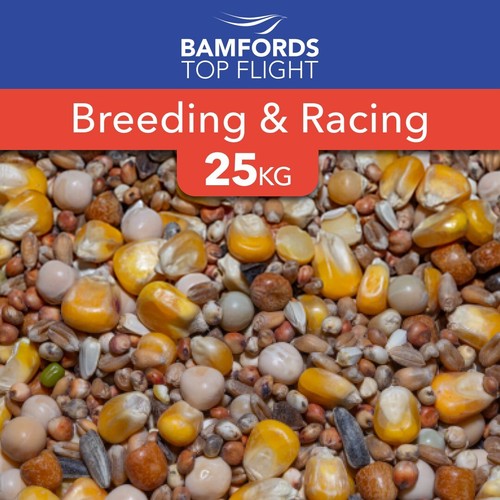 Bamfords breeding racing - bamfords,