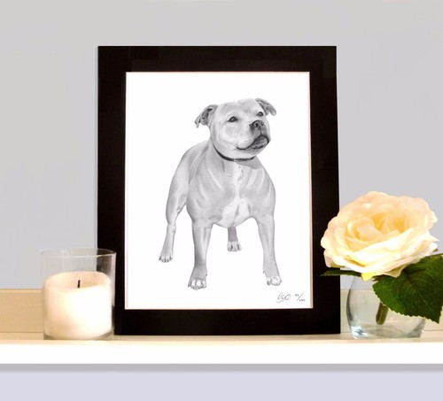 Staff staffy bull terrier - staff, art