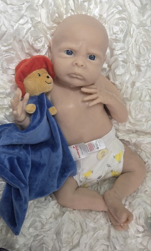 Blank kit bear full - kit,