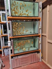 Aquarium Rack