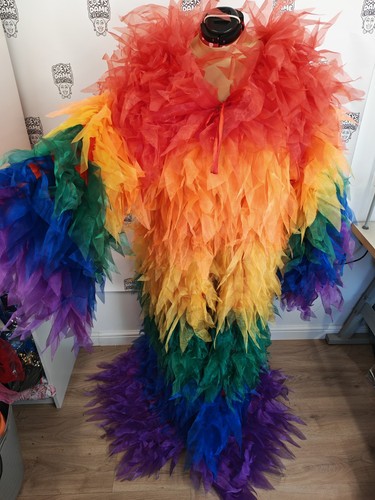Rainbow organza ruffle - ruffle, coat