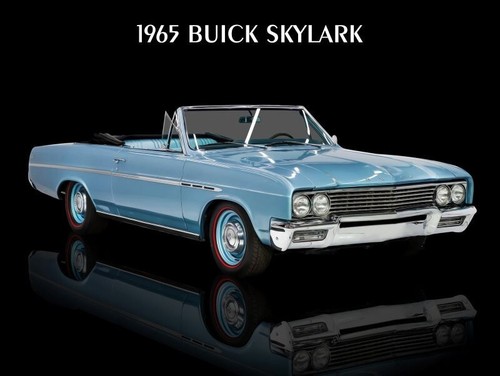 1965 buick skylark - 1965,