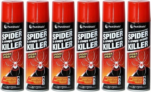 Pestshield spider creepy - spider, &
