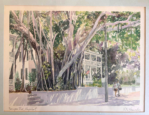 Robert kennedy banyan - banyan, tree
