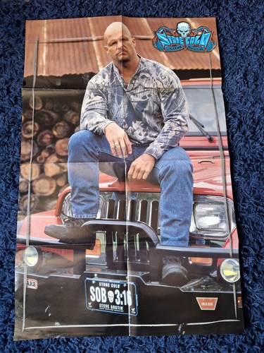 Stone cold steve austin kane - steve, austin/kane