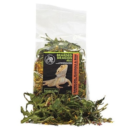 Komodo bearded dragon - dragon, 80g