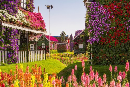 Photo wall mural - wall, mural-flower