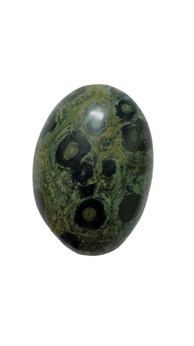 Kambaba jasper polished palm - jasper,