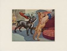 FRENCH BULLDOG OLD 1958 DOG ART PRINT MOUNTED Artist WALTER A WEBER