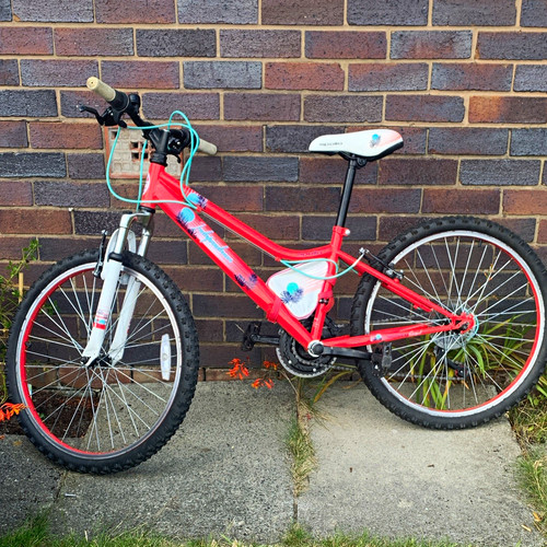 Apollo girls kids bike - 24,