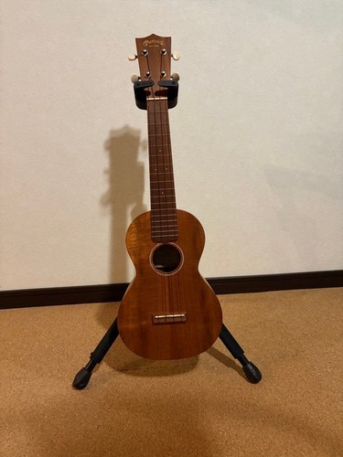 Martin c1k concert - &,