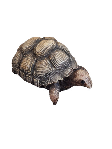 Tortoise ornament brown - ornament,,
