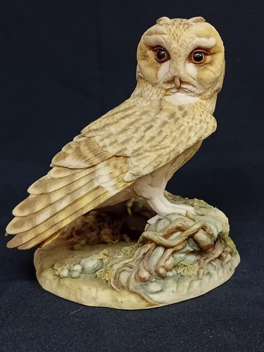 Teviotdale barn owl - 'barn, owl'