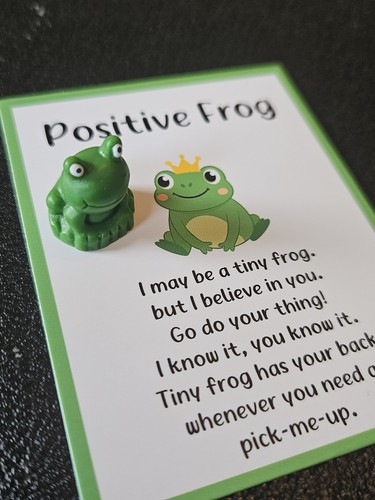 Pocket hug pet frog - hug,