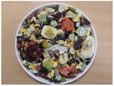 Tropical Large Parrot Food