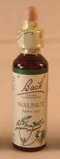 Bach Flower Remedies, Walnut
