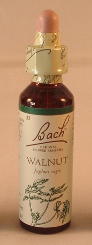 Bach flower remedies walnut - bach,