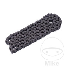 BorgWarner Endless Cam Chain