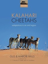 Kalahari cheetahs - kalahari,