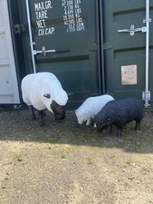 X3 Life Size Sheep Prop Statue Sculpture 