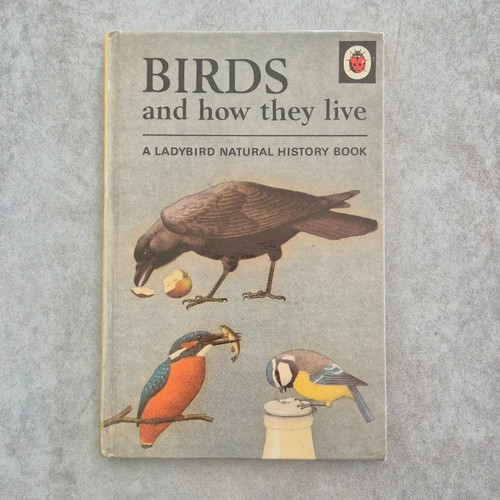 Ladybird birds how - they, live
