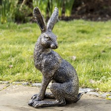 Aged gold march hare garden - aged,