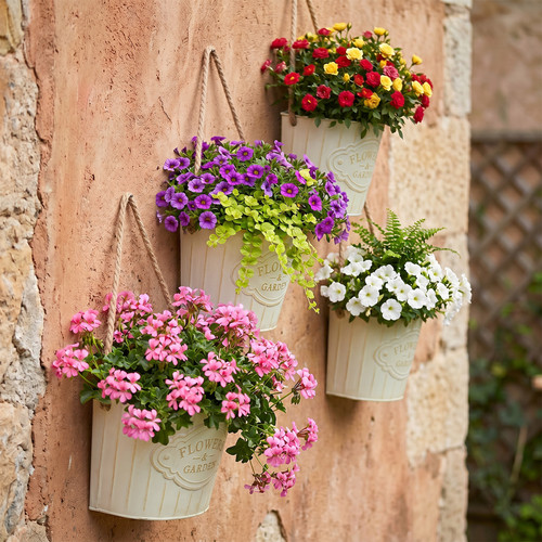 Metal hanging pots - 4x, plant