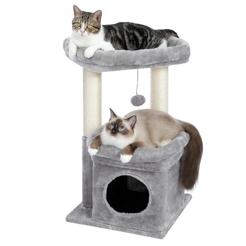 Paws road cat trees - road, trees,