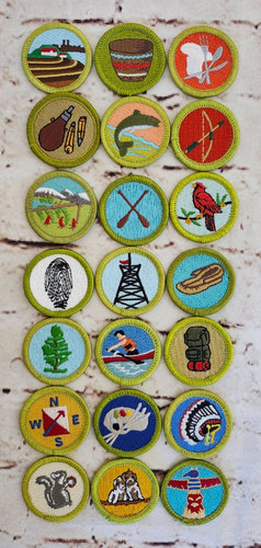 Bsa boy scout merit badges - boy,