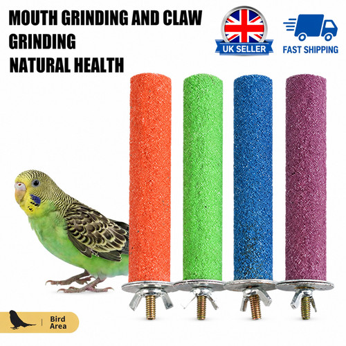 Bird perch beak claw - perch, –