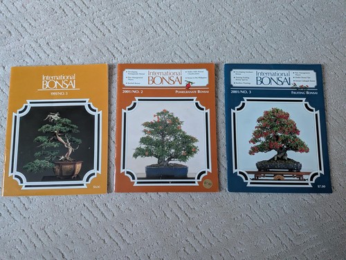 International bonsai lot - international,
