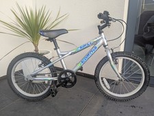 Dawes Blowfish 18" Kids