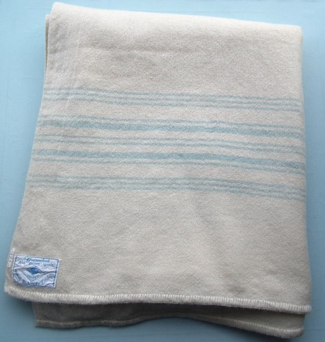 Vintage 100 wool blanket - vintage,