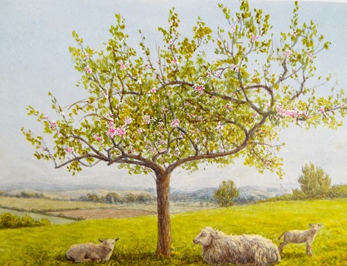 Original watercolour c1890 - watercolour, c1890's