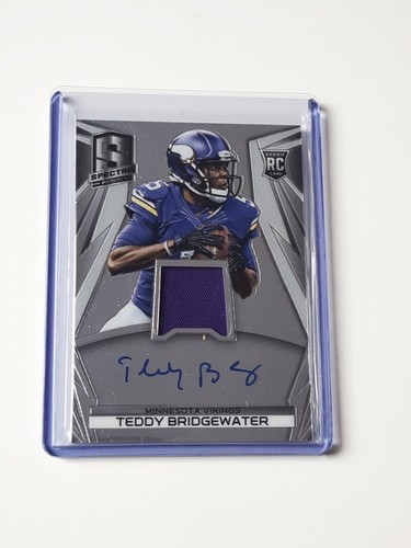 Panini spectra 2013 - spectra, teddy